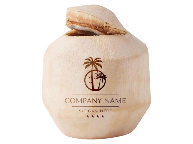 CO2 激光打標(biāo)機(jī)在新鮮椰子上 DIY 定制徽標(biāo)