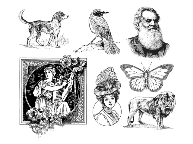 免費 2D/3D 激光蝕刻機的激光雕刻矢量文件