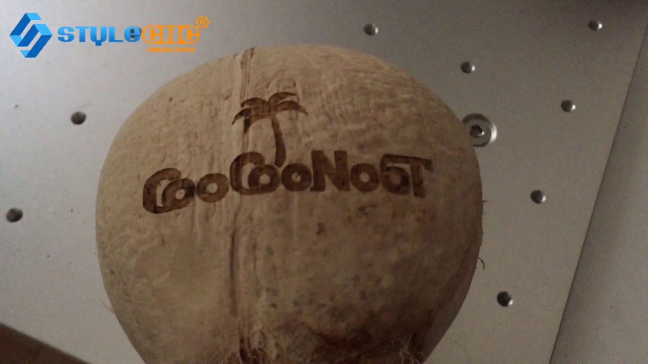 實(shí)惠價(jià)格 CO2 椰子激光水果打標(biāo)機(jī)